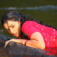 Shweta Menon - Thaaram Tamil Movie Stills | Picture 37667